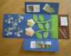 Lapbook Vorlagen Wald Genial Lapbook Wiese Jpg 1600×1200 Education