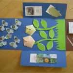 Lapbook Vorlagen Wald Genial Lapbook Wiese Jpg 1600×1200 Education