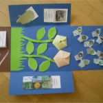 Lapbook Vorlagen Wald Großartig Kruschkiste Lapbook Zum thema Wiese – Ich Liebe Wasser