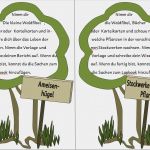 Lapbook Vorlagen Wald Großartig Tipss Und Vorlagen Auftragskarten Lapbook Wald