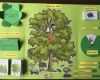 Lapbook Vorlagen Wald Neu Worksheet Crafter