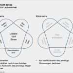 Lapbook Wald Vorlagen Cool 15 Besten Lapbook Bilder Auf Pinterest