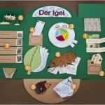 Lapbook Wald Vorlagen Elegant Kindergarten Kigaportal Igel Lapbook 13x9