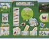 Lapbook Wald Vorlagen Genial Projektplan Schmetterling Lapbook Für Kindergarten Kita