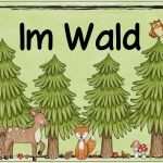 Lapbook Wald Vorlagen Schön Ideenreise themenplakat &quot;im Wald&quot;