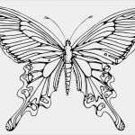 Laser Vorlagen Kostenlos Süß Schmetterling Basteln Schmetterlinge Aus Filz Papier