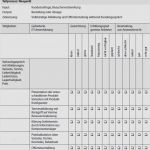 Lastenheft Pflichtenheft Vorlage Gut Lasten Pflichtenheft Beispiel Essay Application Essay