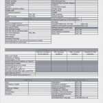 Lastenheft Vorlage Excel Süß Unglaubliche Lastenheft Vorlage Maschinenbau