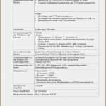 Lastenheft Vorlage Pdf Luxus 15 Beispiel Pflichtenheft Vorlagen123 Vorlagen123