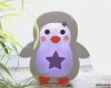 Laterne Basteln Prinzessin Vorlage Beste Ebook Bastelanleitung Pinguin Sterne Laterne