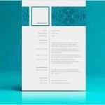 Latex Präsentation Vorlage Cool Latex Vorlage Lebenslauf Fabelhaft Lebenslauf Praktikum