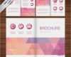 Layout Broschüre Vorlagen Gut Broschüre Design Mit Dreiecken