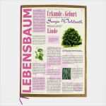 Lebensbaum Taufe Vorlage Elegant Lebensbaum Urkunde Modern Zur Geburt Für “mädchen