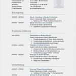 Lebenslauf 2015 Vorlage Elegant Lebenslauf Muster Für Lkw Fahrer