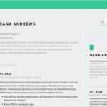 Lebenslauf 2015 Vorlage Großartig Standard Resume Diese Lebenslauf Vorlage Will Welt