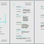 Lebenslauf 2018 Vorlage Kostenlos Download Beste Lebenslauf Vorlage Download Kostenlos Pdf Angenehm