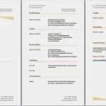 Lebenslauf 2018 Vorlage Kostenlos Download Schönste Tabellarischer Lebenslauf Vorlage Kostenlose Muster Zum