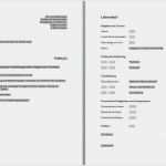 Lebenslauf 2018 Vorlage Word Hübsch Lebenslauf Vorlage Word Erstaunlich Bewerbungsvorlage