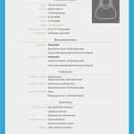 Lebenslauf Aktuell Vorlage Genial Lebenslauf Vorlagen Muster Kostenlose Word Vorlage