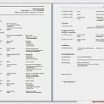 Lebenslauf Aktuell Vorlage Schönste 12 Lebenslauf Aktuell Vorlage