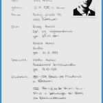 Lebenslauf Ausbildung Vorlage Angenehm 36 Erstaunlich Vorlage Lebenslauf Ausbildung Bilder