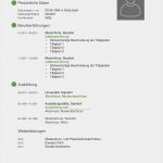 Lebenslauf Ausbildung Vorlage Angenehm Muster Vorlage Lebenslauf Fr Eine Ausbildung Moderner