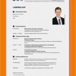Lebenslauf Ausbildung Vorlage Erstaunlich 8 Lebenslauf Ausbildung