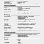 Lebenslauf Ausbildung Vorlage Fabelhaft 13 Lebenslauf Vorlage Ausbildung