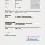 Lebenslauf Ausbildung Vorlage Word Beste Muster Lebenslauf Ausbildung Braunes Design