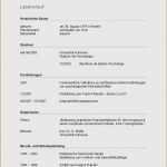 Lebenslauf Ausbildung Vorlage Word Erstaunlich Lebenslauf 9 Klasse Vorlage Beste Lebenslauf Nach Din 5008