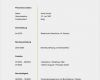 Lebenslauf Ausbildung Vorlage Word Kostenlos Einzigartig Muster Lebenslauf Word Muster Lebenslauf Nebenjob