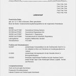 Lebenslauf Azubi Vorlage Bewundernswert Muster Lebenslauf Für Angehende Azubis Focus Line