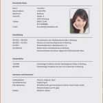 Lebenslauf Azubi Vorlage Einzigartig 21 Edv Kenntnisse Lebenslauf