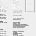 Lebenslauf Azubi Vorlage Erstaunlich 17 Lebenslauf Azubi