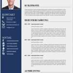 Lebenslauf Berufserfahrung Vorlage Beste Bewerbungsmuster Kostenlose Vorlage