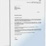 Lebenslauf Berufserfahrung Vorlage Erstaunlich atemberaubend Kinderbetreuung Lebenslauf Beispiele Galerie