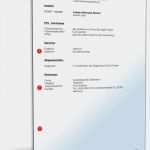 Lebenslauf Berufserfahrung Vorlage Erstaunlich Lebenslauf Ohne Berufserfahrung Vorlage