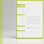 Lebenslauf Berufserfahrung Vorlage Erstaunlich Muster Lebenslauf Für Word Und Open Fice