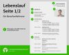 Lebenslauf Berufserfahrung Vorlage Hübsch Lebenslauf Muster Berufserfahrene – Bewerbungsprofi Net