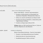 Lebenslauf Berufserfahrung Vorlage Inspiration Lebenslauf Berufserfahrung In Bewerbung Angeben
