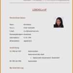 Lebenslauf Berufserfahrung Vorlage Luxus 17 Lebenslauf Berufserfahrung Vorlage