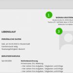 Lebenslauf Berufserfahrung Vorlage Luxus Lebenslauf Muster Berufserfahrene – Bewerbungsprofi Net