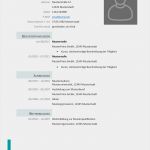 Lebenslauf Bewerbung Vorlage Word Großartig Professioneller Lebenslauf Tipps Zur Optimierung