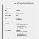 Lebenslauf Bewerbung Vorlagen Bewundernswert Bewerbung Beispiel Vorlage Bewerbung