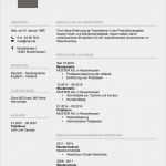Lebenslauf Bewerbung Vorlagen Einzigartig Lebenslauf Muster 2017 Meinebewerbung