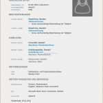 Lebenslauf Bewerbung Vorlagen Erstaunlich 19 Lebenslauf Studium Vorlagen123 Vorlagen123