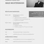 Lebenslauf Bewerbung Vorlagen Erstaunlich Tabellarischer Lebenslauf Vorlage Kostenlose Muster Zum