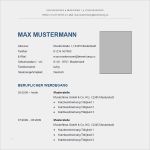 Lebenslauf Bewerbung Vorlagen Hübsch Muster 2 Bewerbung