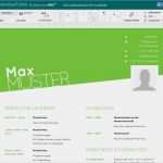 Lebenslauf Bewerbung Vorlagen Wunderbar Lebenslauf Vorlagen Muster Und Beispiele