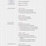 Lebenslauf Business Vorlage Elegant Moderne Lebenslauf Vorlage In Dezentem Grau Zum